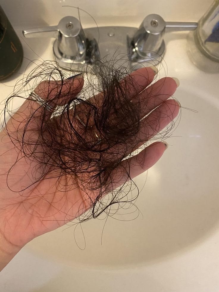 Cepillo con pelo durante la etapa de caída de Claudia